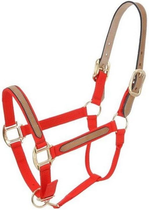 Tough 1 Correas de repuesto de corona de cuero de una sola capa, caballo