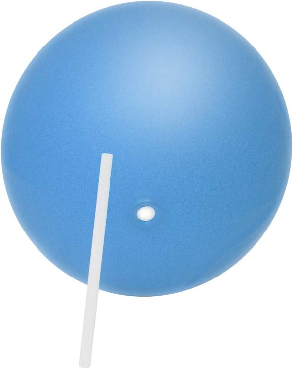 Trademark Innovations – Pelota de entrenamiento para pilates (9,8 pulgadas)