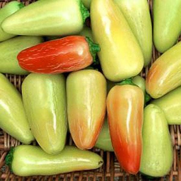 Pepper Joe’s Jaloro Semillas de pimiento jalapeño  Paquete de más de 10 semillas de pimiento jalapeño amarillo suave, cultivadas en Estados Unidos,