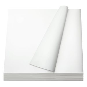 Papel de carnicero blanco de 18 x 18 pulgadas, hojas de papel de carnicero desechables precortadas, papel de envoltura de alimentos, papel cuadrado Papel de carnicero blanco de 18 x 18 pulgadas, hojas de papel de carnicero desechables precortadas, papel de envoltura de alimentos, papel cuadrado