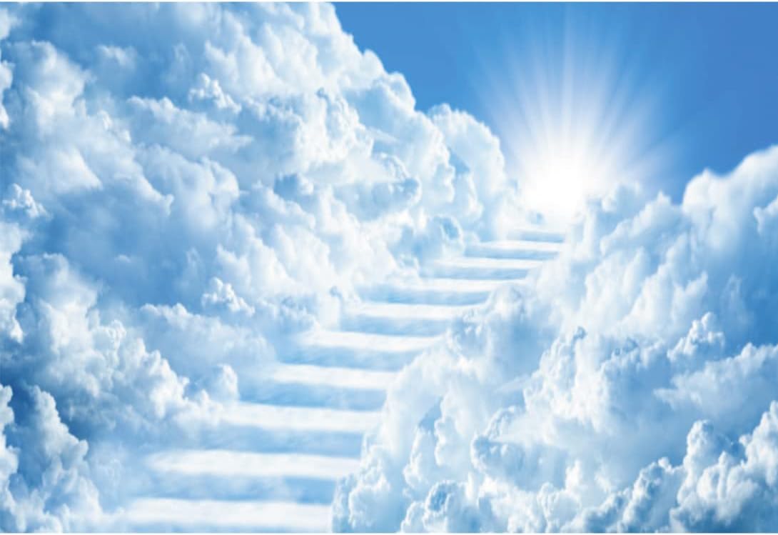 OERJU Telones de fondo de cielo de 8 x 6 pies para fotografía, escalera al cielo, puerta del paraíso, luz del sol, cielo nubes, fondo, baby shower,