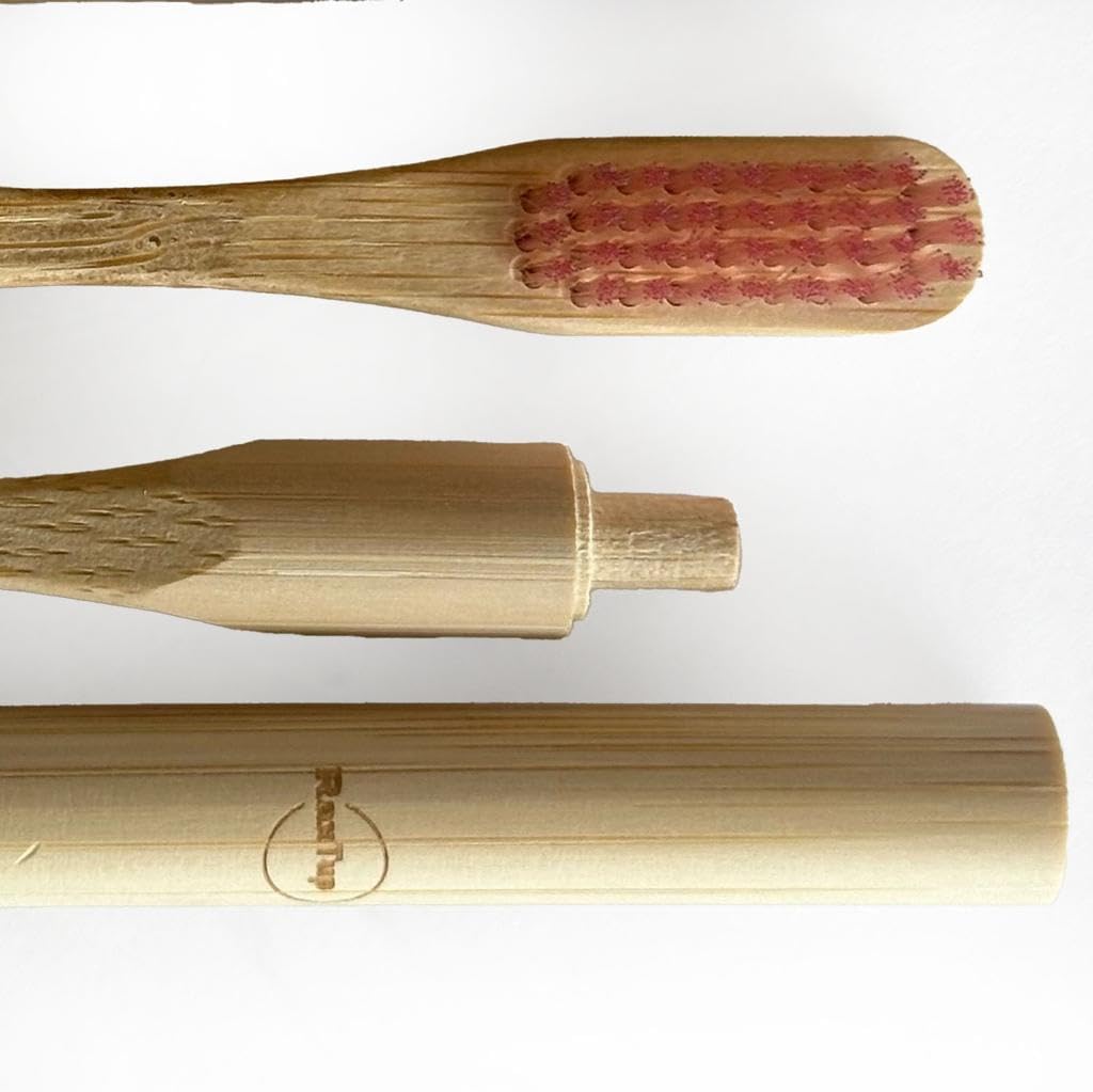 raxtup Cepillos de dientes de bambú natural biodegradables ecológicos con 1 cabezal de cepillo de bambú reemplazable, cerdas suaves para dientes de