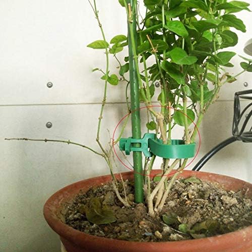 8 bandas de soporte para estacas de árbol, entrelazado ajustable resistente, reutilizables, para plantas de jardín y arbustos de 9.4 pulgadas