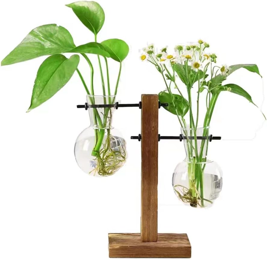 Jarrón de cristal para plantas hidropónicas, kit de terrario de plantas de escritorio con soporte retro de madera maciza para plantas hidropónicas,
