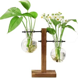 Jarrón de cristal para plantas hidropónicas, kit de terrario de plantas de escritorio con soporte retro de madera maciza para plantas hidropónicas, Jarrón de cristal para plantas hidropónicas, kit de terrario de plantas de escritorio con soporte retro de madera maciza para plantas hidropónicas,