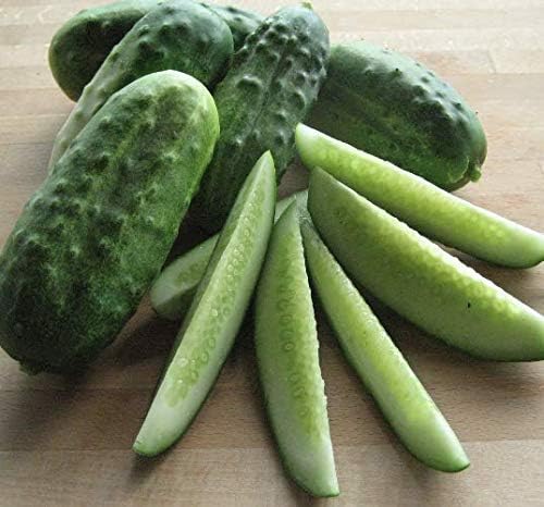 Semillas nacionales de pepino encurtido para plantar, más de 75 semillas tradicionales por paquete, semillas de jardín de Isla (semillas de jardín