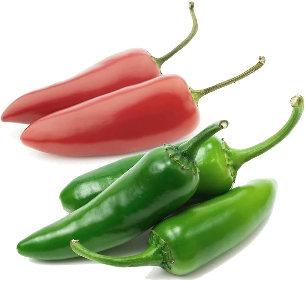 Semillas de pimiento para plantar, semillas de pimiento verde y rojo, semillas de reliquia sin OMG, semillas de vegetales para huerto doméstico y