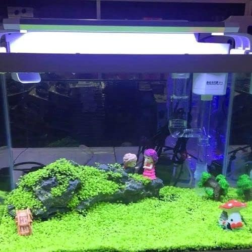1 paquete de hierba de acuario de hojas pequeñas, hierba de acuario, hierba de agua, planta de acuario, hierba de acuario de fácil crecimiento,