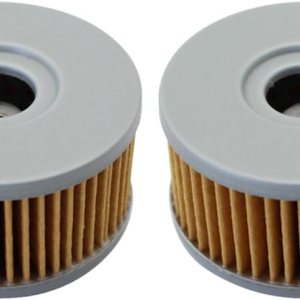 Cyleto Filtro de aceite para SUZUKI GZ250 GZ 250 MARAUDER 250 1999-2010  GN250 GN 250 1982-2000  GN400 GN 400 1980 1981 1982 (paquete de 2) Cyleto Filtro de aceite para SUZUKI GZ250 GZ 250 MARAUDER 250 1999-2010  GN250 GN 250 1982-2000  GN400 GN 400 1980 1981 1982 (paquete de 2)