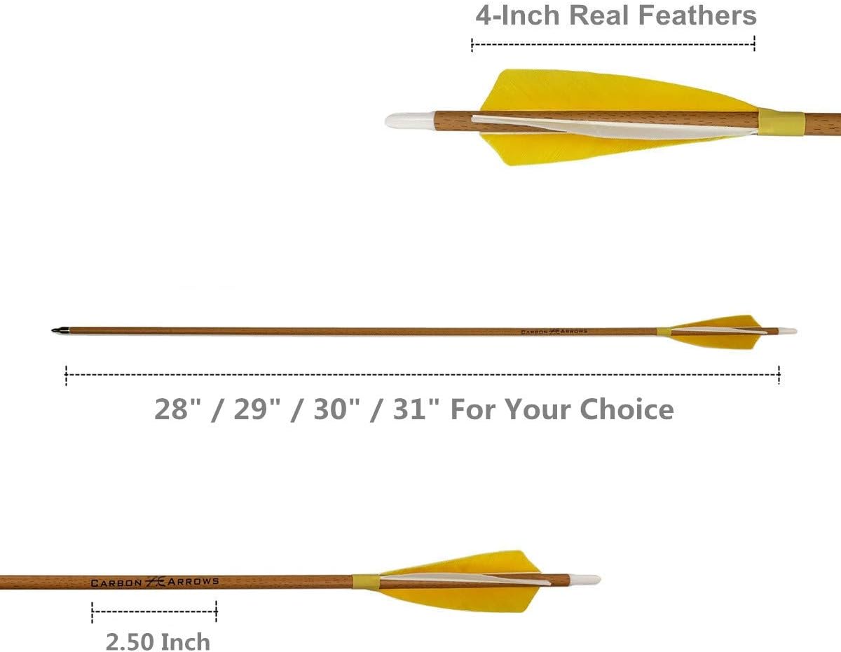 Archery – Flechas de carbono 500 columna vertebral con plumas helicoidales reales y puntas extraíbles para arco recurvo compuesto (paquete de 6)