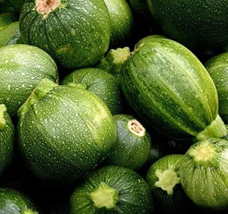 Semillas redondas de calabaza de verano de calabacín para plantar, (ocho bolas de calabacín), más de 40 semillas tradicionales por paquete, semillas