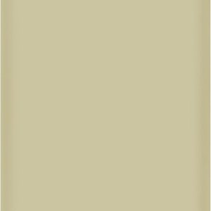 ENERLITES – Placas para pared para ocultar imperfecciones, tamaño mediano, 4.88 x 3.11 pulgadas, de policarbonato termoplástico irrompible, aprobado ENERLITES – Placas para pared para ocultar imperfecciones, tamaño mediano, 4.88 x 3.11 pulgadas, de policarbonato termoplástico irrompible, aprobado