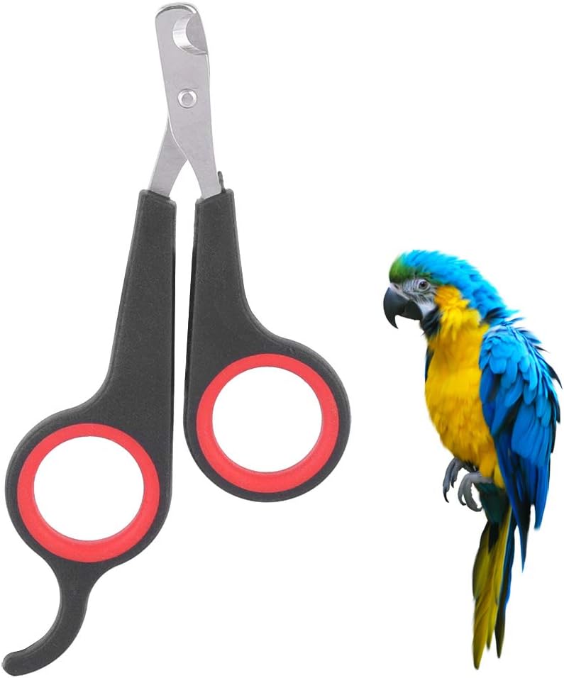 TSYFM Cortaúñas para pájaros, tijeras de uñas de acero inoxidable sólido, tijeras de uñas para pájaros, tijeras para mascotas, pájaros, animales