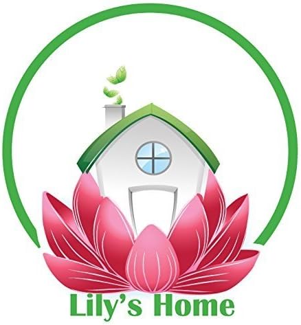 Lily’s Home Reloj de manto estilo estación de tren Grand Central de inspiración vintage, silencioso sin tictac con movimiento de cuarzo, se adapta a