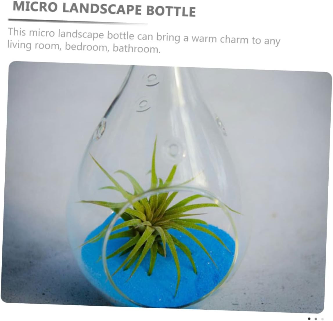 IMIKEYA 8 macetas colgantes de vidrio, contenedor de terrario colgante, jarrones de vidrio transparente, jarrón de flores de vidrio, portavelas