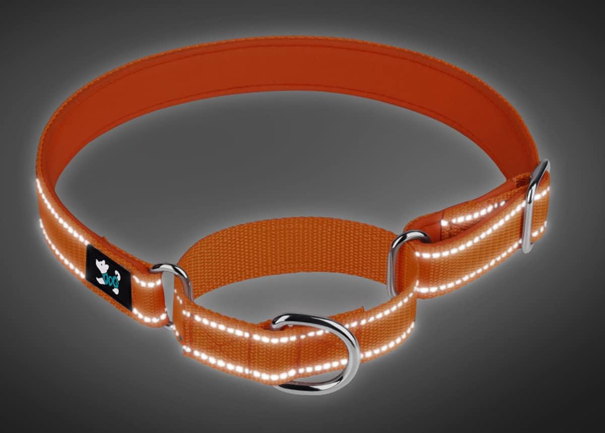 Collares ajustables para perros de entrenamiento de seguridad Martingala, de neopreno suave y acolchado, de nailon transpirable, para perros