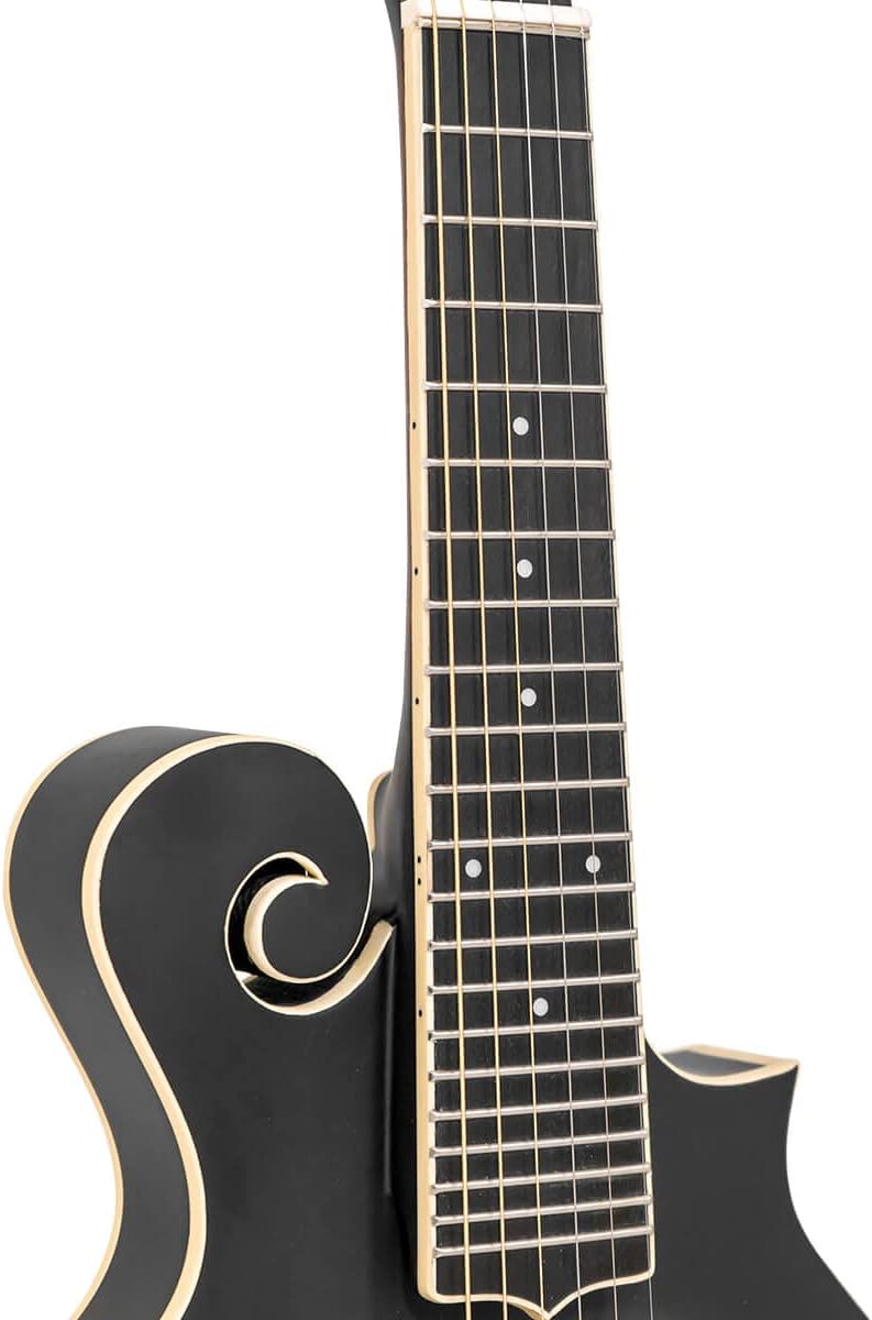 Gold Tone, Mandolina de 6 cuerdas, Sunburst (F-6)