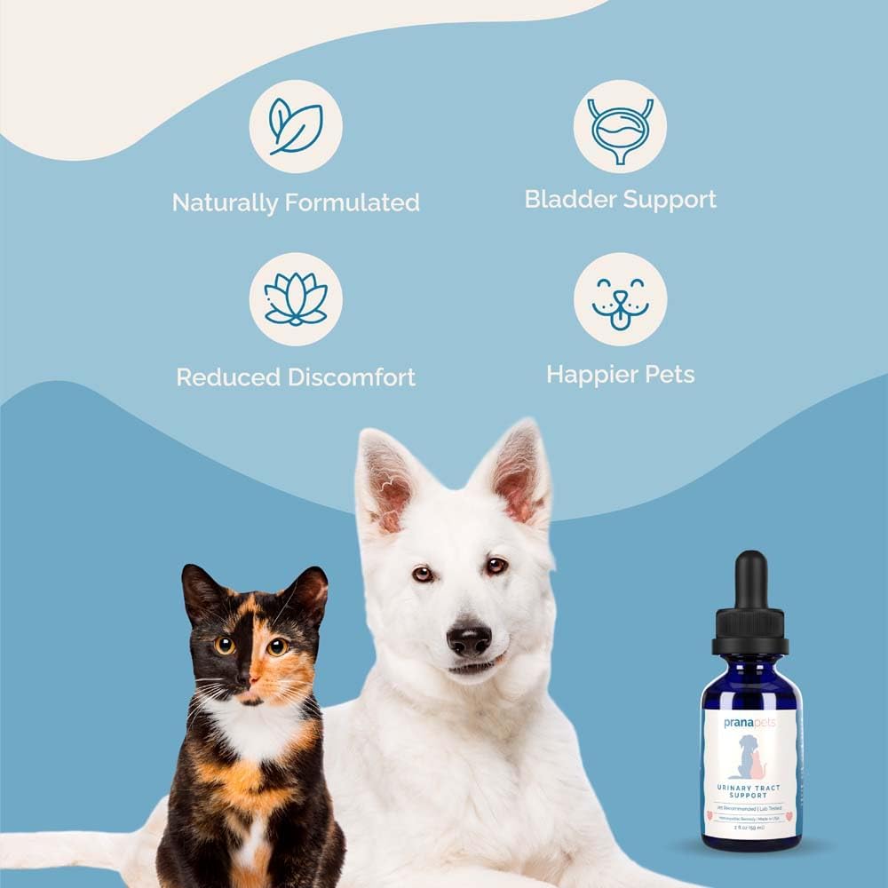 Suplemento líquido de apoyo del tracto urinario para mascotas  Suplemento urinario para perros y gatos  Soporte natural de vejiga para perros y