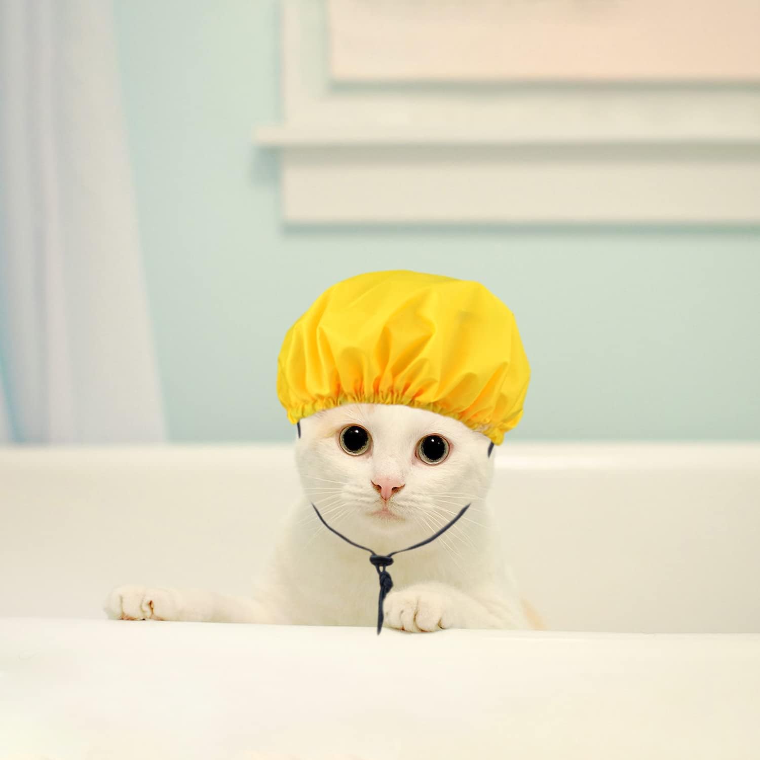 Gorros de ducha para gatos, gorro de ducha impermeable para lavar, bañar, lluvia, gatos, protección para prevención de orejas