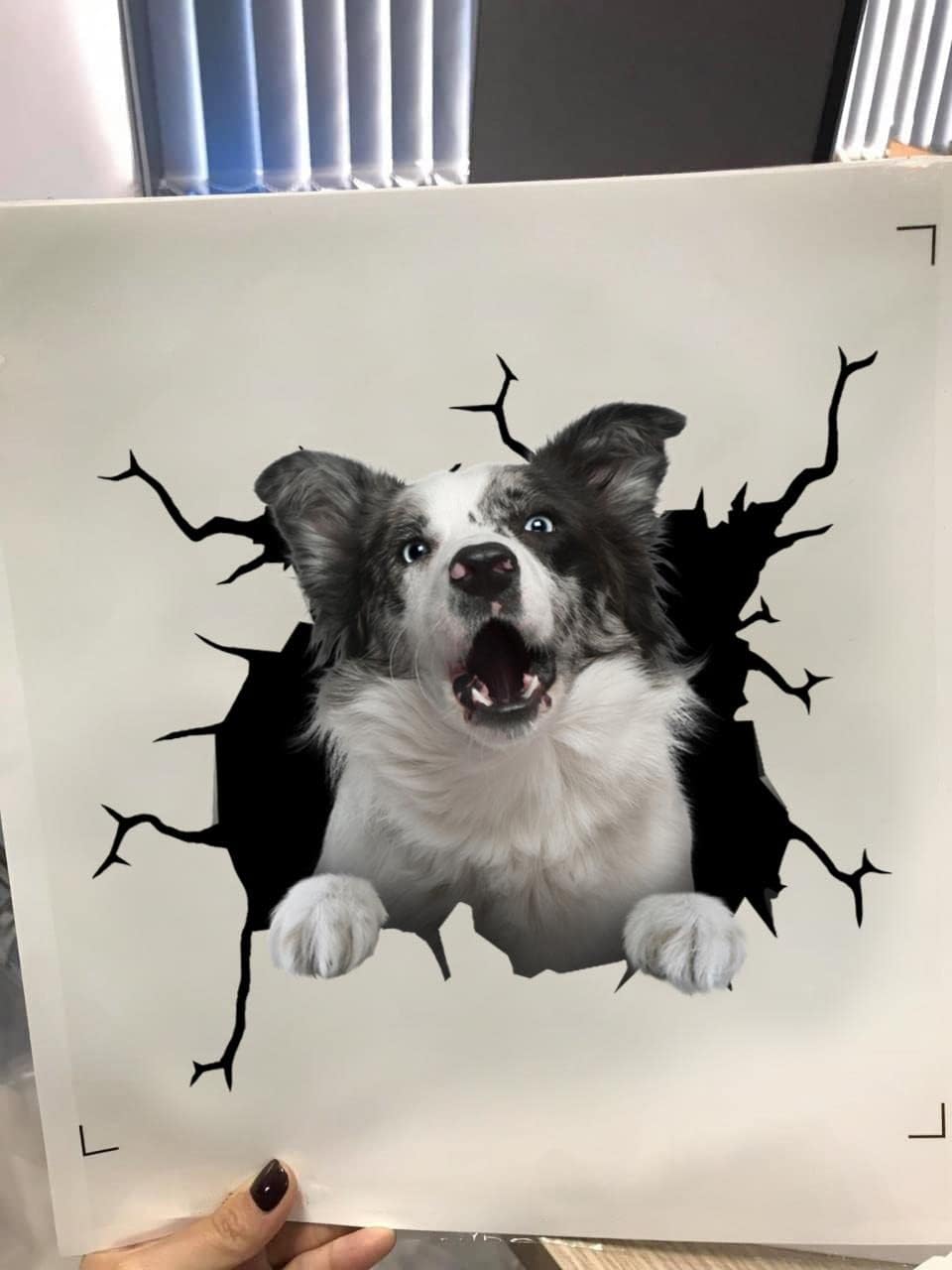 Pegatinas de perro Border Collie Border Collie para ventana de coche, calcomanía de camión de advertencia para caras divertidas Vinal Truck