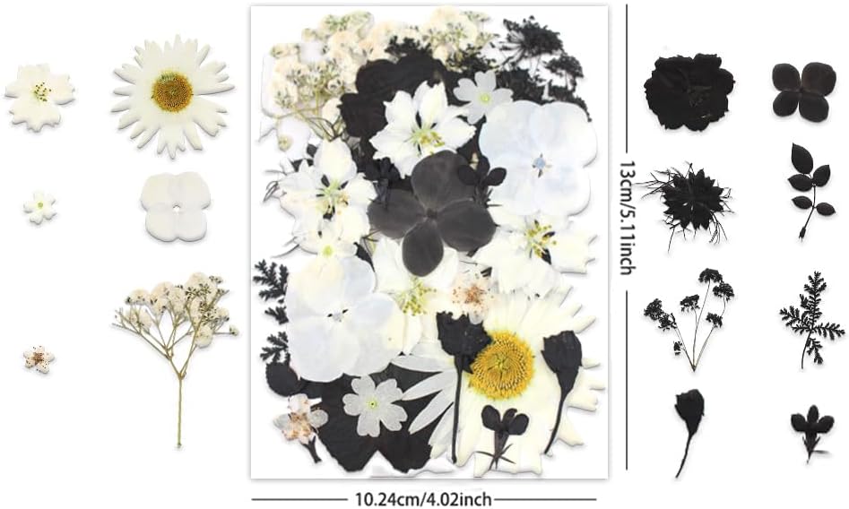 Buzidao Flores secas prensadas, más de 60 piezas de flores prensadas naturales para resina, arte de uñas, álbumes de recortes, velas, tarjeta de