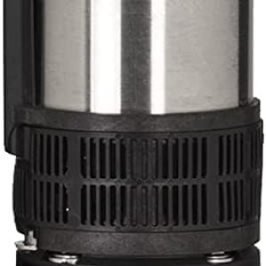 Red Lion RL12G07-2W2V Bomba sumergible de pozo profundo de 4 pulgadas, 34 HP, 12 GPM 2 cables, 230 voltios, acero, 14942403 Red Lion RL12G07-2W2V Bomba sumergible de pozo profundo de 4 pulgadas, 34 HP, 12 GPM 2 cables, 230 voltios, acero, 14942403