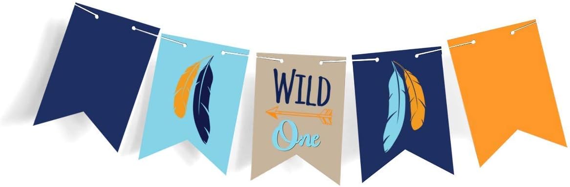 Boston Creative Company Cartel Wild One  One Banner  Cartel para silla de alta  Cartel de plumas  Cartel tribal para baby shower  Decoración de