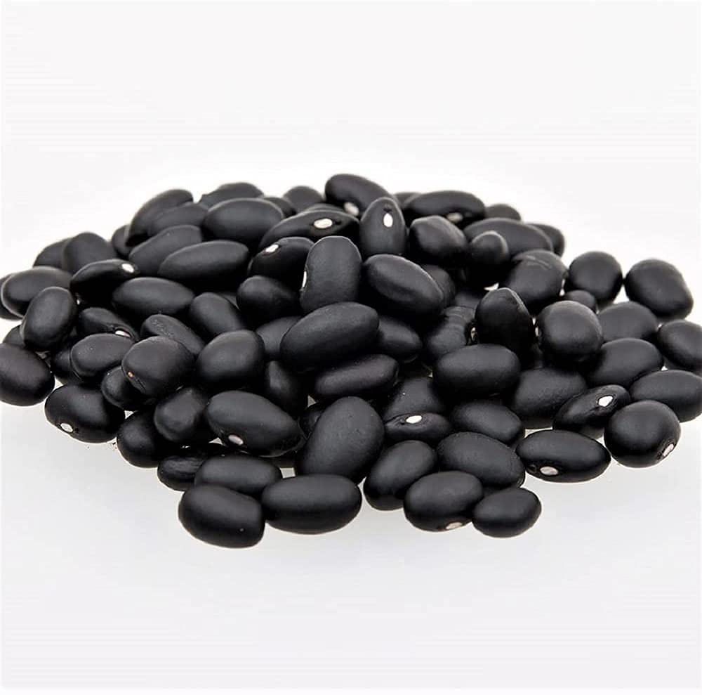 Semilla de frijol, frijol de tortuga negra, reliquia, sin transgénicos, 50 semillas, frijoles negros fantásticos