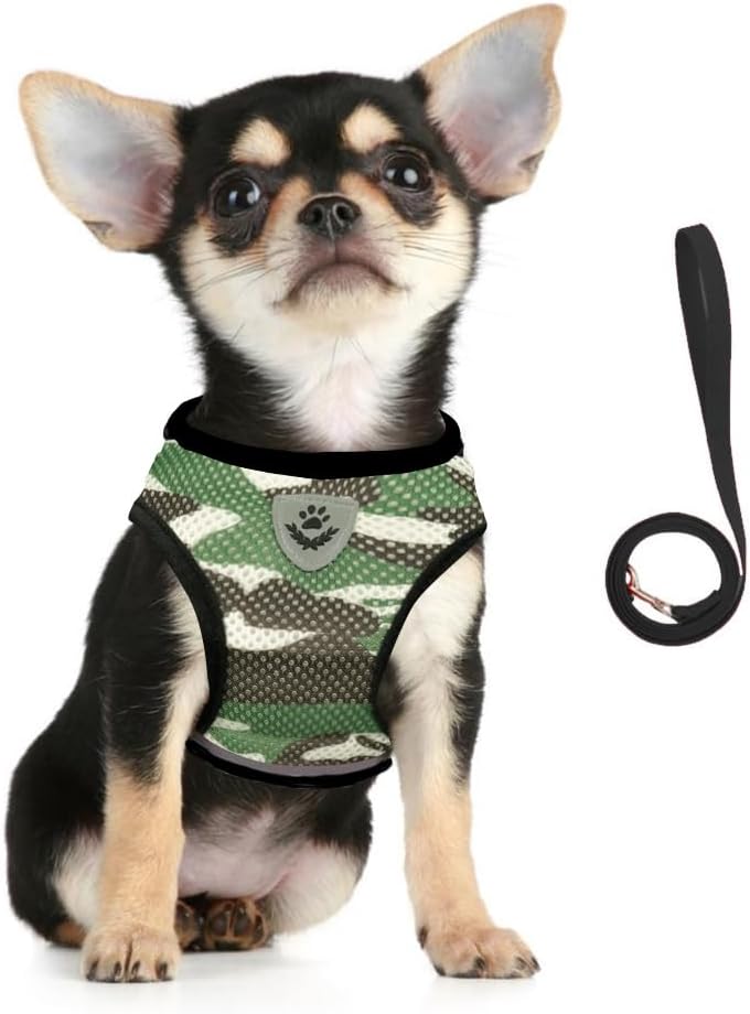 FEimaX Juego de arnés y correa para perro, malla suave, ajustable, fácil de controlar, chaleco ligero para gatos con tiras reflectantes, a prueba de
