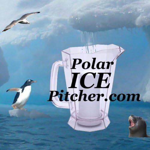 Jarra con cámara Polar Ice de aluminio – Transparente