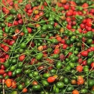 Chile piquín mexicano semillas Chile piquín mexicano semillas