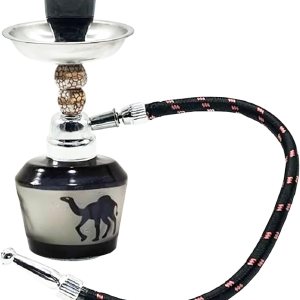 Juego de cachimba Mini Shisha Hookah Set Completo con manguera de tazón y pinzas para boquilla Juego de cachimba Mini Shisha Hookah Set Completo con manguera de tazón y pinzas para boquilla