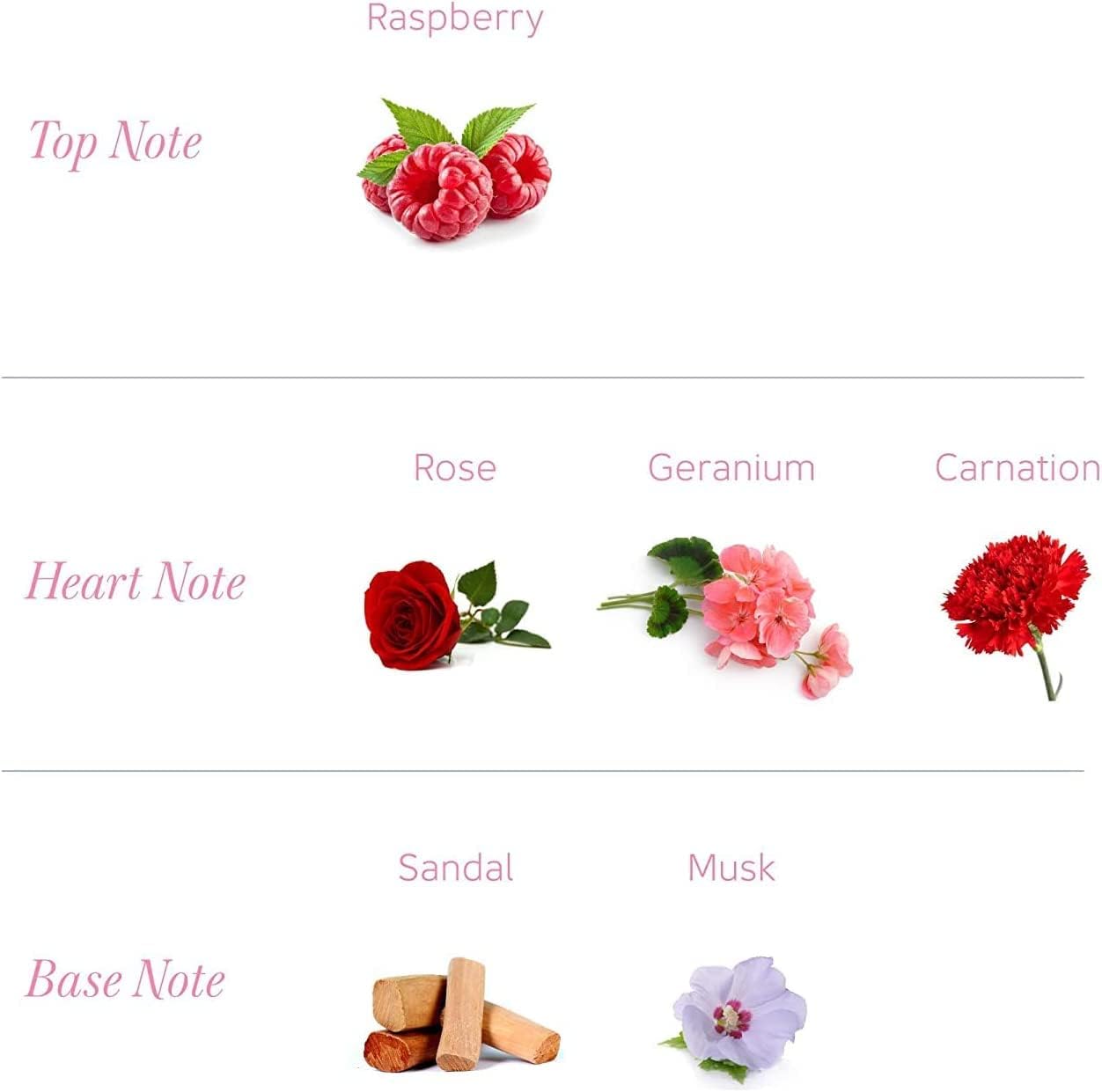 Yardley London – Fragancia floral fresca bloqueada en un polvo de talco perfumado fino y sedoso (Yardley London English Rose, paquete de 1 8.82 oz)