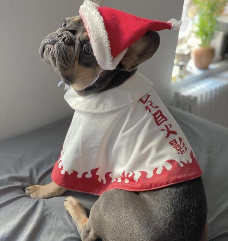 ChoChoCho Disfraz de anime para perros y gatos, disfraz de capa ninja, ideal para Halloween, eventos de cosplay, adecuado para cachorros, mascotas
