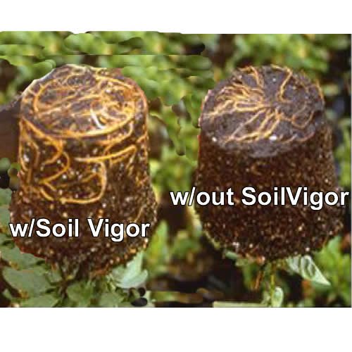 Trampa de humedad del suelo de 1 libra de potasio súper absorbente de polímero de gránulos de hidrogel Soil Vigor