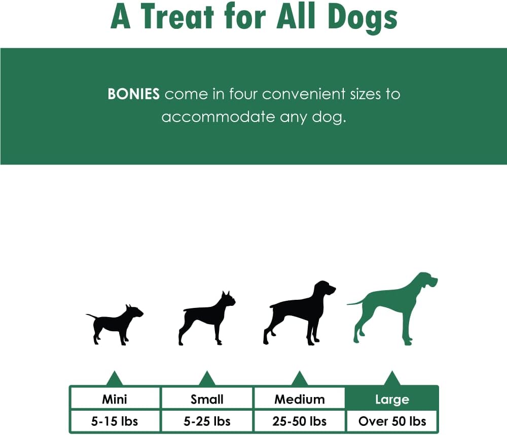 BONIES Natural Dental Bones Multi-Pack Regular (5 Huesos  11.15 oz)