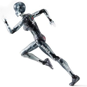 Modelo de figura de acción de PVC modelos de dibujo, Body-KunChan DX PVC machohembra modelo de figura de acción para niños SHF niños coleccionista Modelo de figura de acción de PVC modelos de dibujo, Body-KunChan DX PVC machohembra modelo de figura de acción para niños SHF niños coleccionista