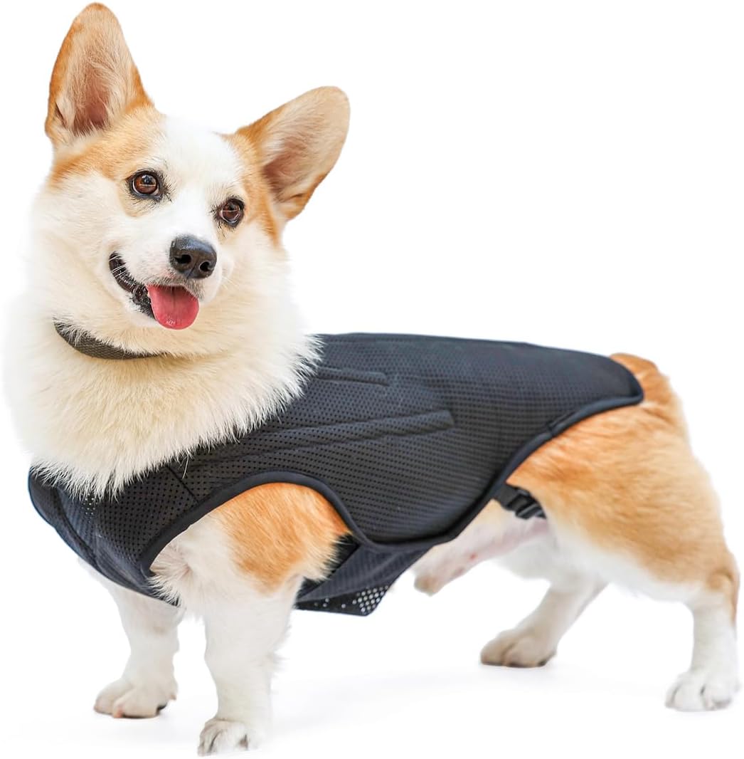 IVDD – Soporte de espalda para perros, chaleco flexible de apoyo de espalda de perro salchicha para mascotas, soporte de espalda para mascotas