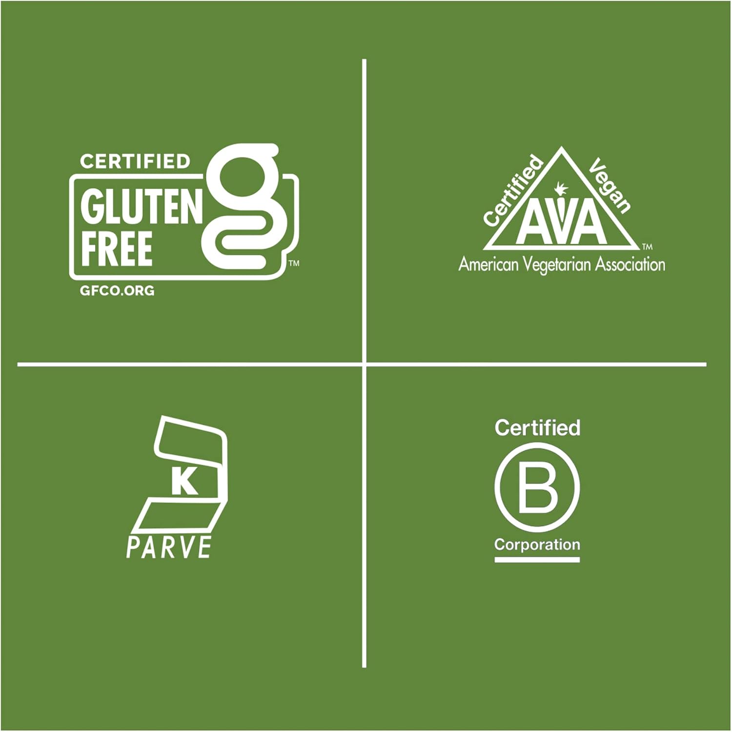 Biochem Proteína vegetal 100% vegana, chocolate, 11.4 onzas, fácil de digerible, amigable con KETO, aminoácido, arándano, semillas de cáñamo,