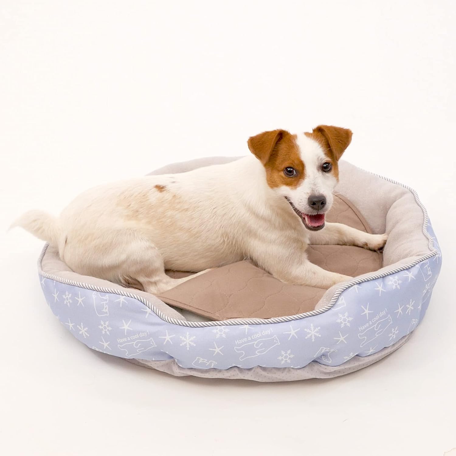 Paw Inspired Almohadillas redondas lavables para orina para perros  Almohadillas reutilizables para cachorros  Almohadillas impermeables para parto
