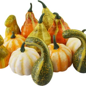 belupai Mini calabazas de espuma surtidas, calabazas falsas de simulación, pequeñas calabazas de plástico a granel para decoración de otoño, belupai Mini calabazas de espuma surtidas, calabazas falsas de simulación, pequeñas calabazas de plástico a granel para decoración de otoño,