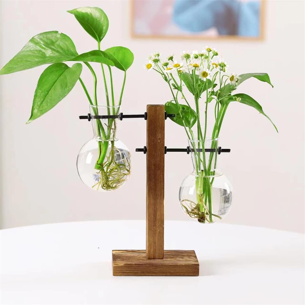 Jarrón de cristal para plantas hidropónicas, kit de terrario de plantas de escritorio con soporte retro de madera maciza para plantas hidropónicas,