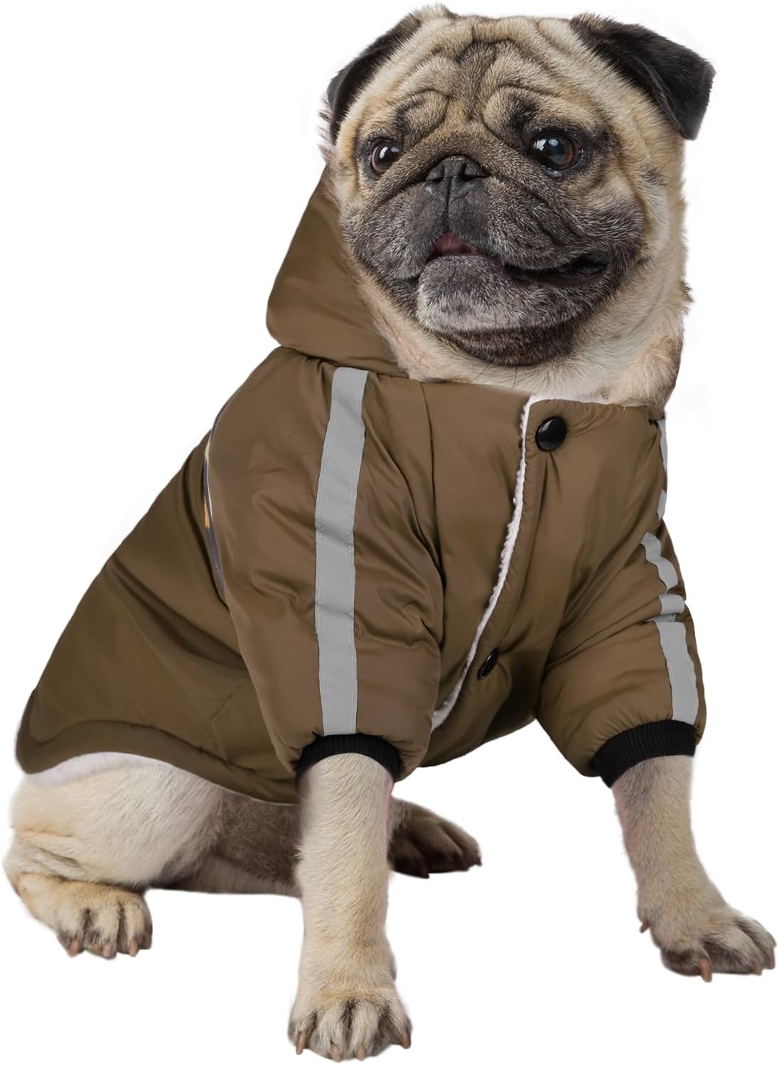 Queenmore Abrigo cálido de invierno para perro, impermeable para clima frío, chaqueta de nieve para perro, sudadera reflectante con capucha para