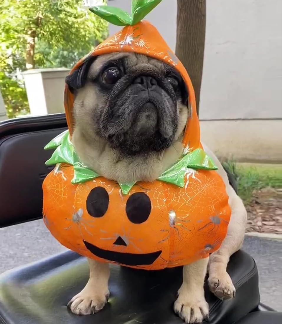 Otunrues Disfraz de calabaza para perro, gato, Halloween, Chucky, trajes de cosplay para mascotas, ropa divertida para mascotas, ropa linda para