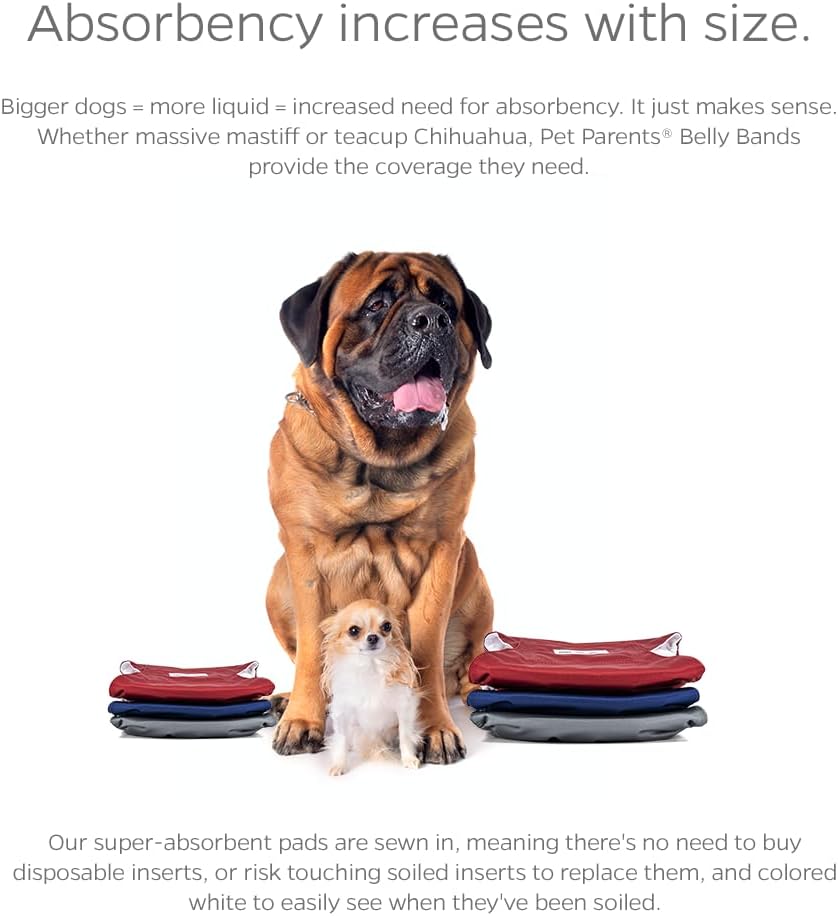 Pet Parents Bandas para el vientre lavables de alta calidad para perros machos y extensores, (paquete de 3) de pañales para perros machos y bandas