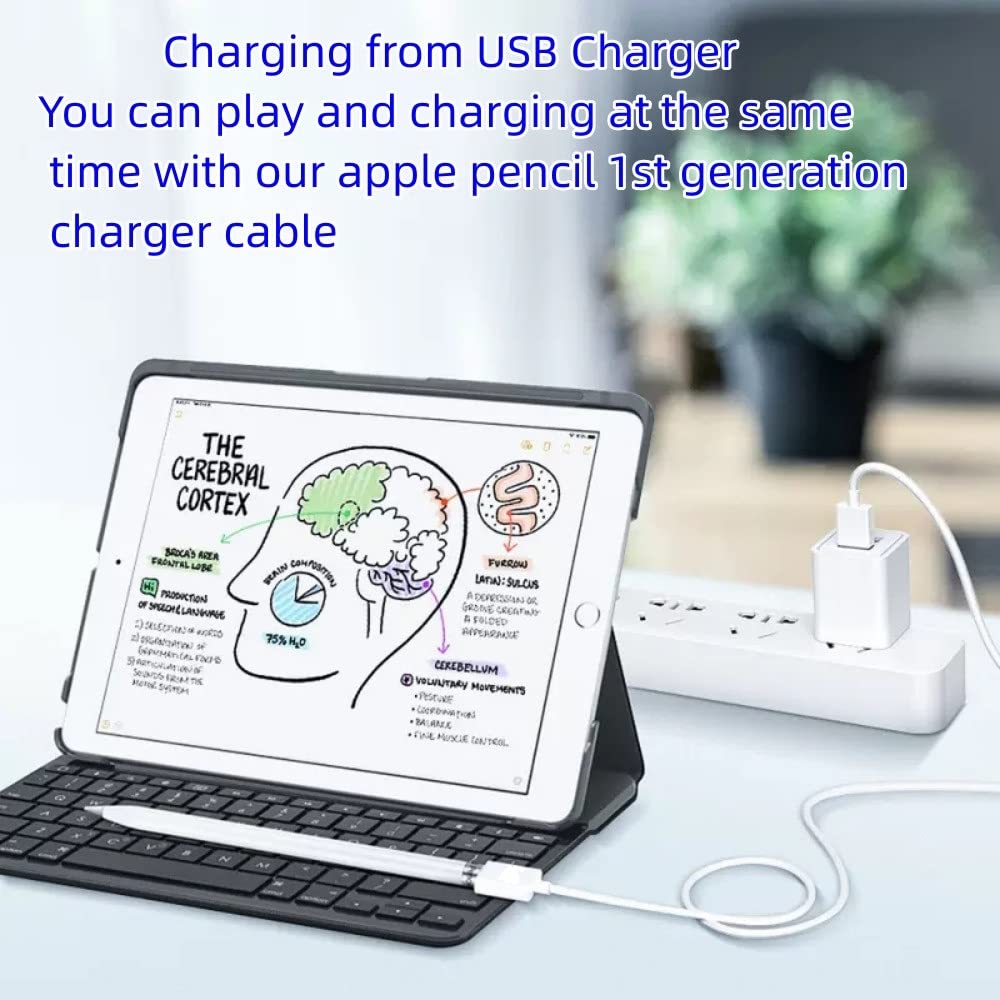 Cargador de lápiz Apple, cargador USB A a Apple Pen, adaptador de lápiz Apple compatible con Apple Pencil de 1 generación (1 paquete, 3.31)