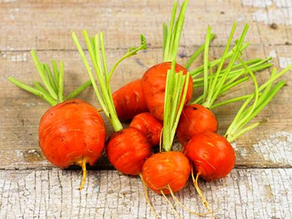 Semillas Sweet Zanahoria Mercado París Rojo Vegetal Heirloom para plantar sin OMG – 1000 semillas