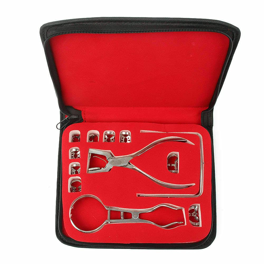 AAProTools 12 unidsset Dental Endodontic Clamp Puncher Abrazaderas Pinzas Marco Puncher Dental Agujero Dentista Herramientas DN-2207
