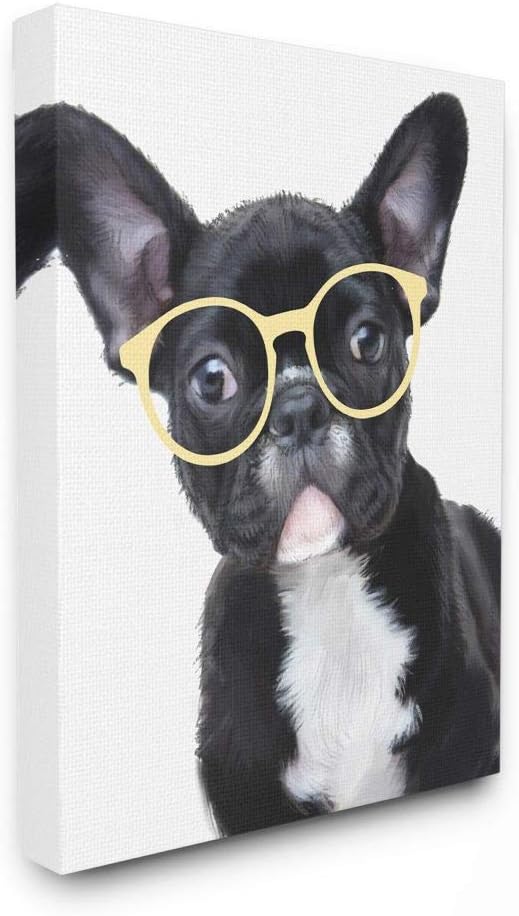 Stupell Industries Sofisticadas gafas de bulldog francés para cachorros y perros, diseñadas por Ziwei Li, arte de pared, 16 x 20 pulgadas, lienzo