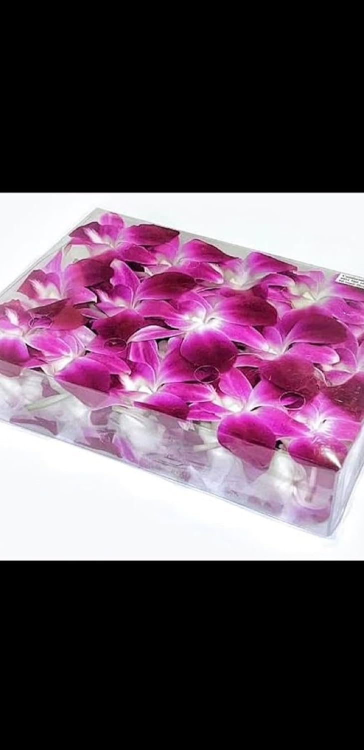 Orquídeas Dendrobium Moradas Frescas 100 ct. Flores Individuales.